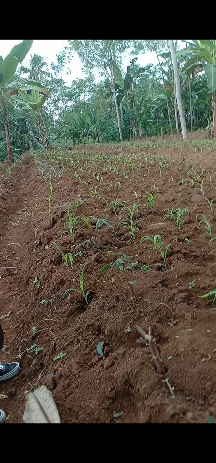 Konten Berita